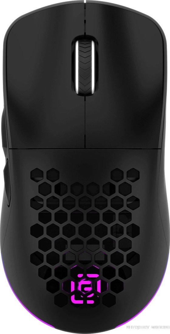 Игровая мышь Oklick 900GMW (черный)