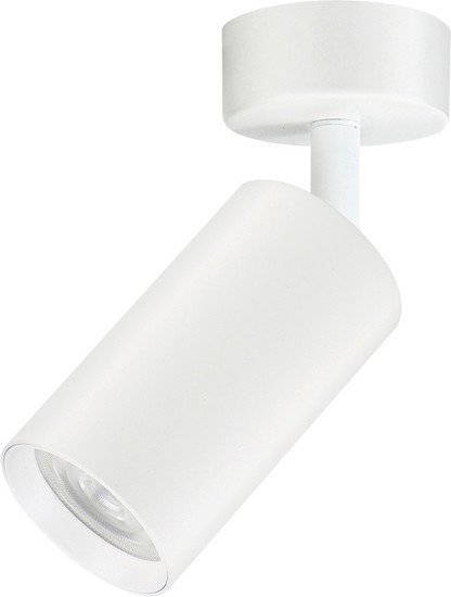Спот TruEnergy 35W 21330