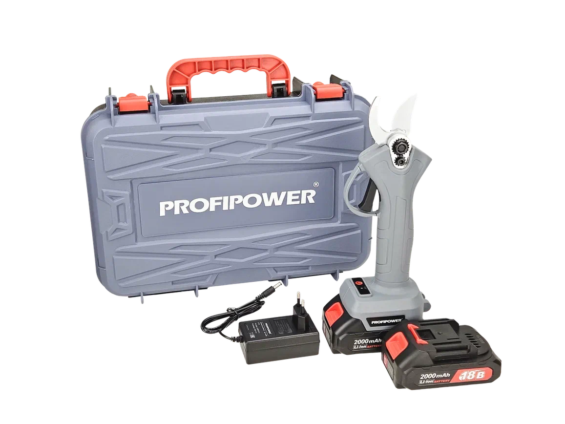 Profipower MKGSP-18V (с 2-мя АКБ, кейс)