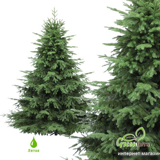 Ель GreenTerra Раскидистая Премиум 2.1 м
