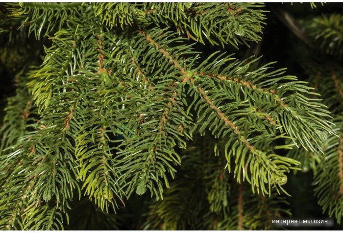 Ель National Tree Company Таежная ТЖ-180 180 см