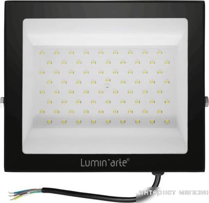 Уличный прожектор Luminarte LFL-100W/06