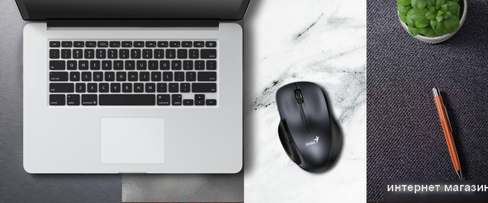 Мышь Genius Ergo 8200S (серый)