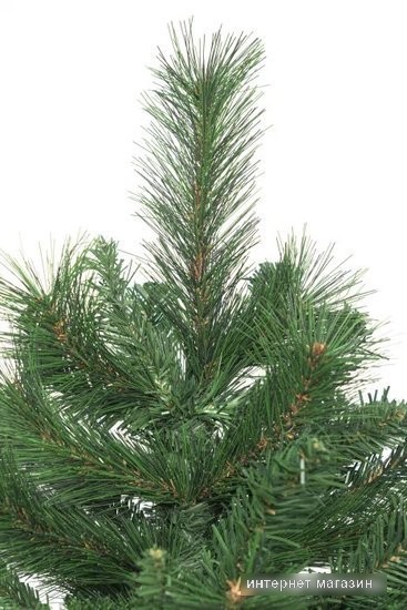 Ель Winter Time SCD06-1027T 1.8 м