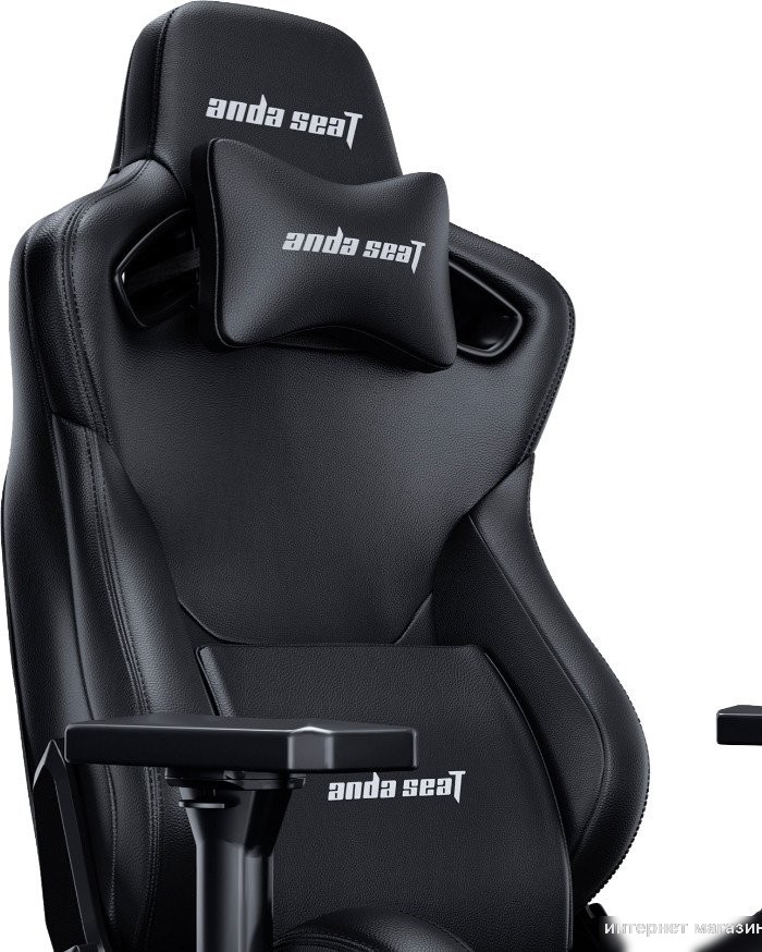 Игровое (геймерское) кресло AndaSeat Frontier AD12Y-12-B-PV (черный)