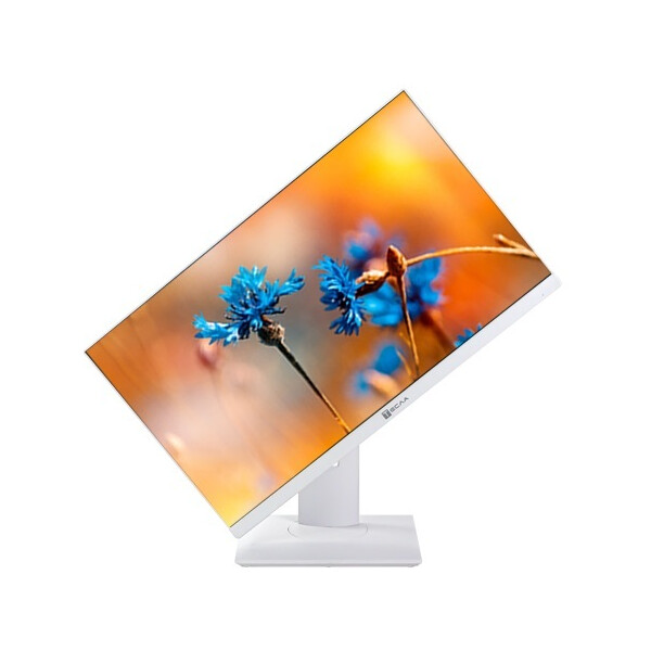 Моноблок ТЕСЛА P24WP 2416500