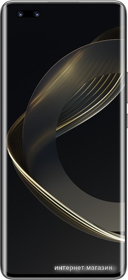Смартфон Huawei nova 11 Pro GOA-LX9 8GB/256GB (черный)