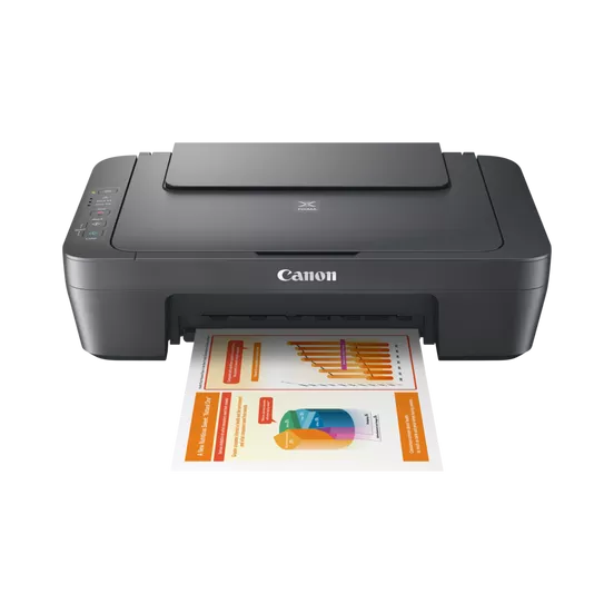 МФУ Canon Pixma MG2546S
