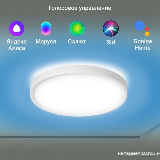 Светильник Digma TopLight TL40