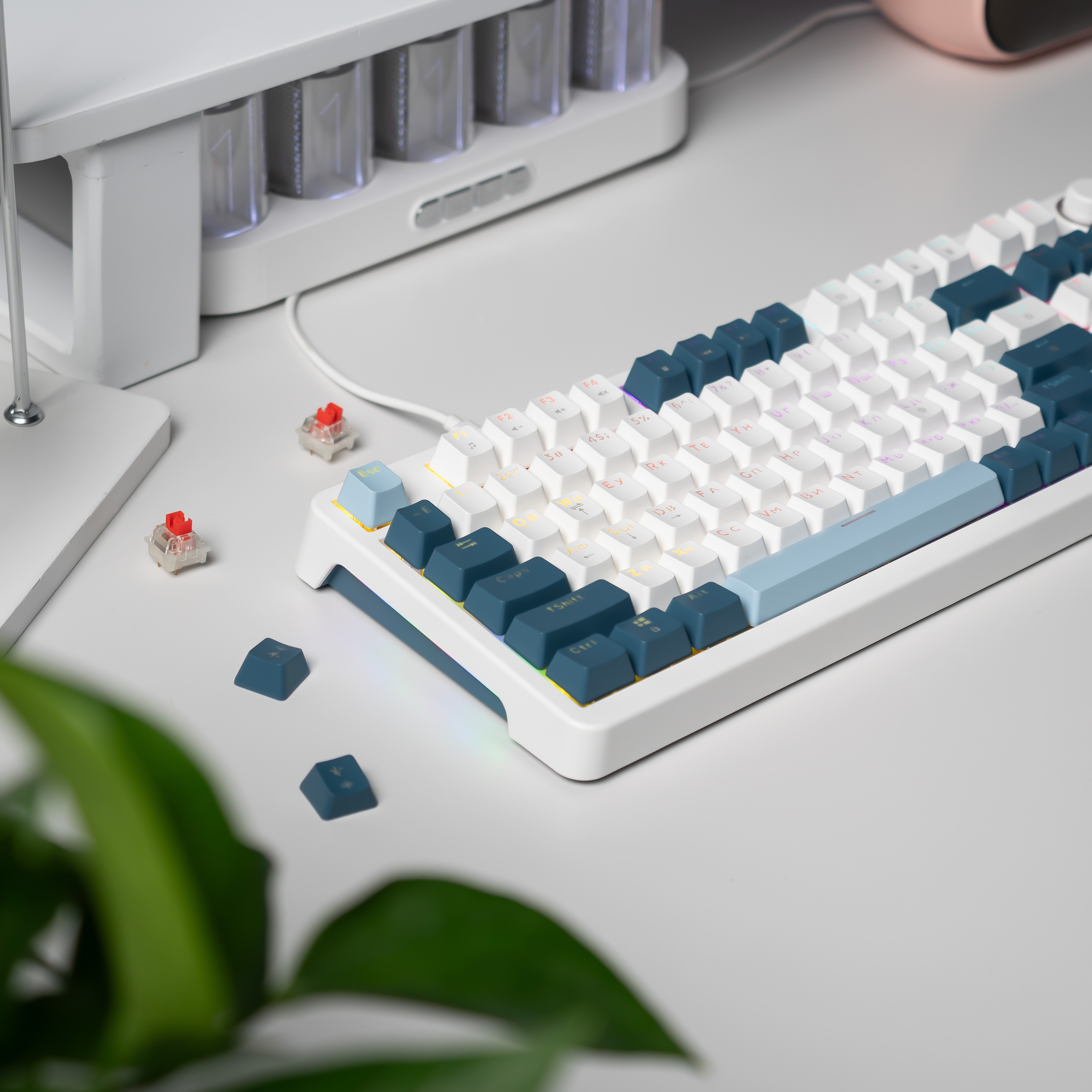 Клавиатура JEGG ZA98 White Navy Blue (TNT Red)