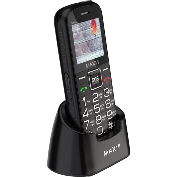Кнопочный телефон Maxvi B5ds (черный)