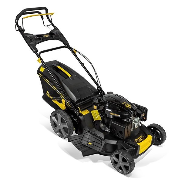 Champion LM5344