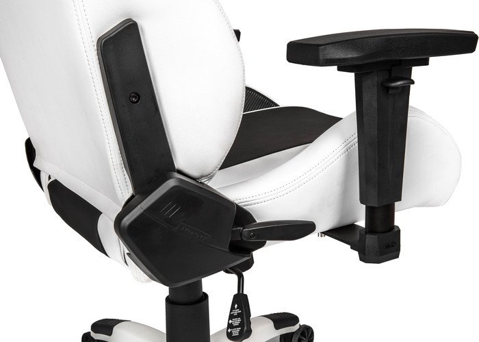 AKRacing Arctica (белый/черный)