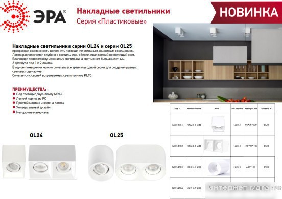 Спот ЭРА OL25-1 Б0054383