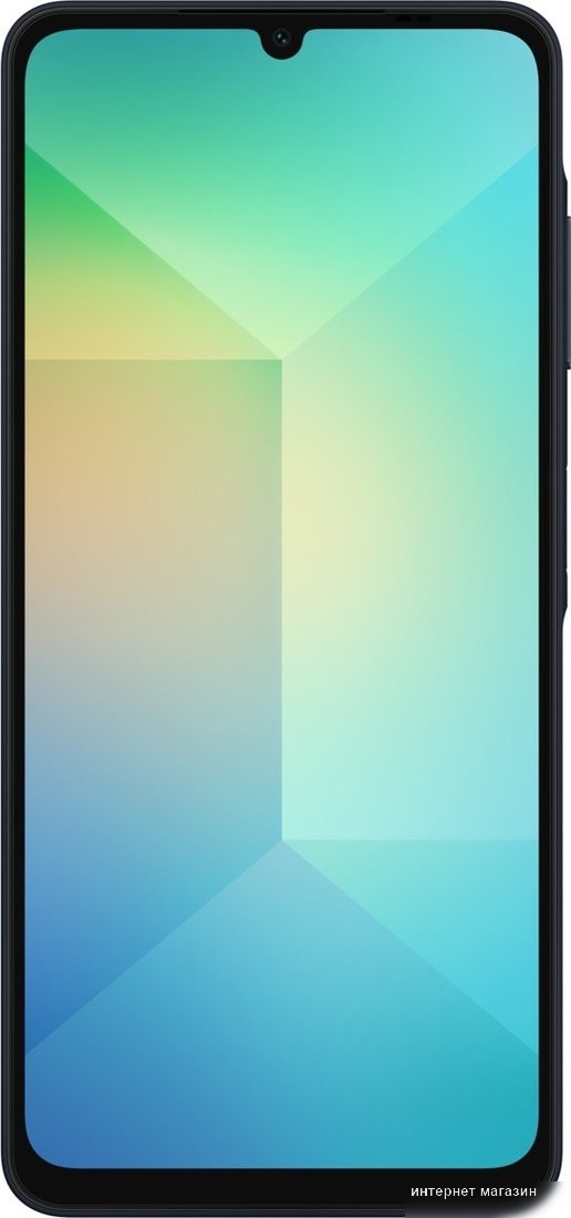Смартфон Samsung Galaxy A06 SM-A065F 6GB/128GB (черный)