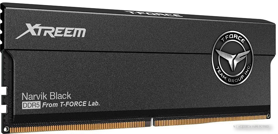 Team T-Force Xtreem 2x16ГБ DDR5 6000 МГц FFXD532G6000HC30DC01