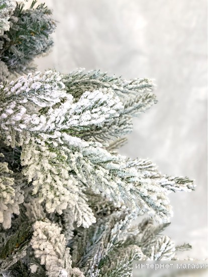 Ель GreenTerra Альберта 2.7 м
