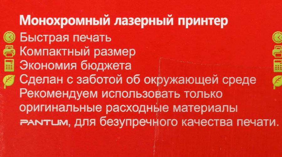 Принтер Pantum P2200