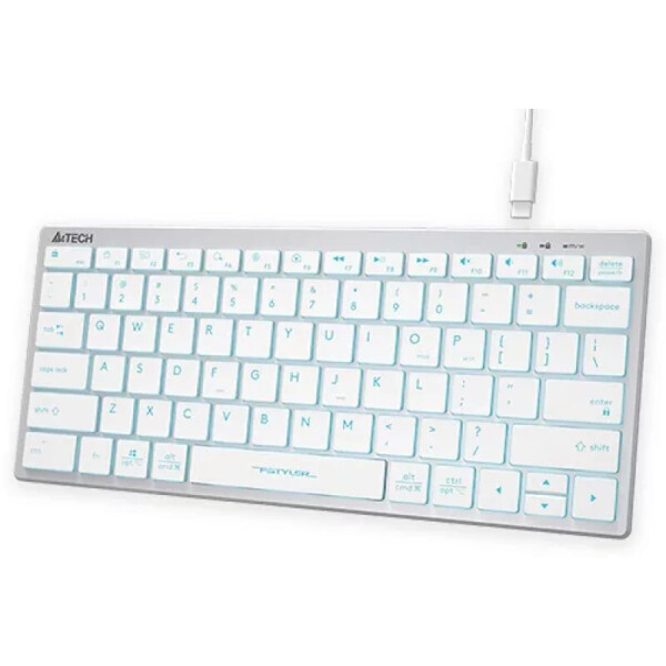 Клавиатура A4Tech Fstyler FX61 (серебристый/белый)