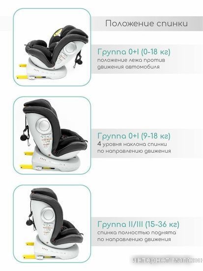 Детское автокресло Amarobaby Champion Isofix AMARO-2008CH-Ch (черный)