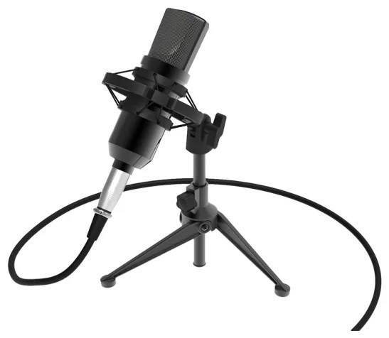 Микрофон Ritmix RDM-160