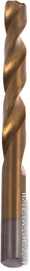 Сверло Thorvik TDB120NTB