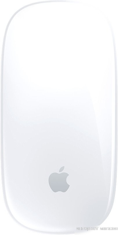 Мышь Apple Magic Mouse USB?C (белый)