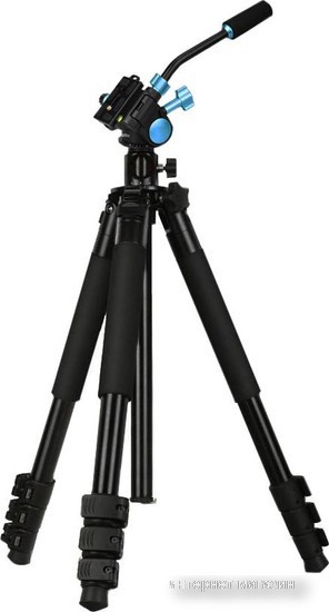 Zarrumi Arrow Pro 250