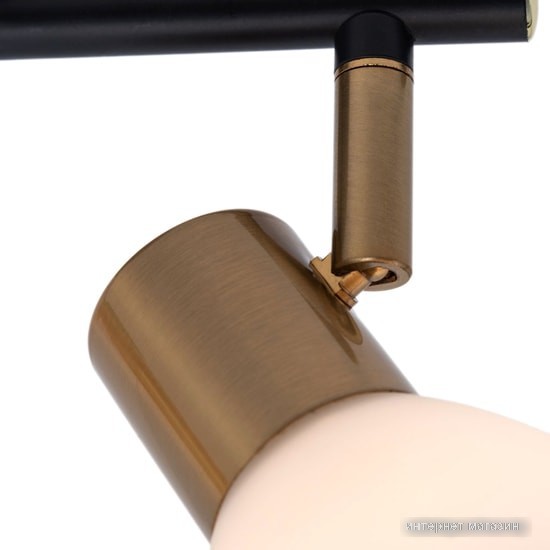 Спот Arte Lamp Falena A3117PL-2BK