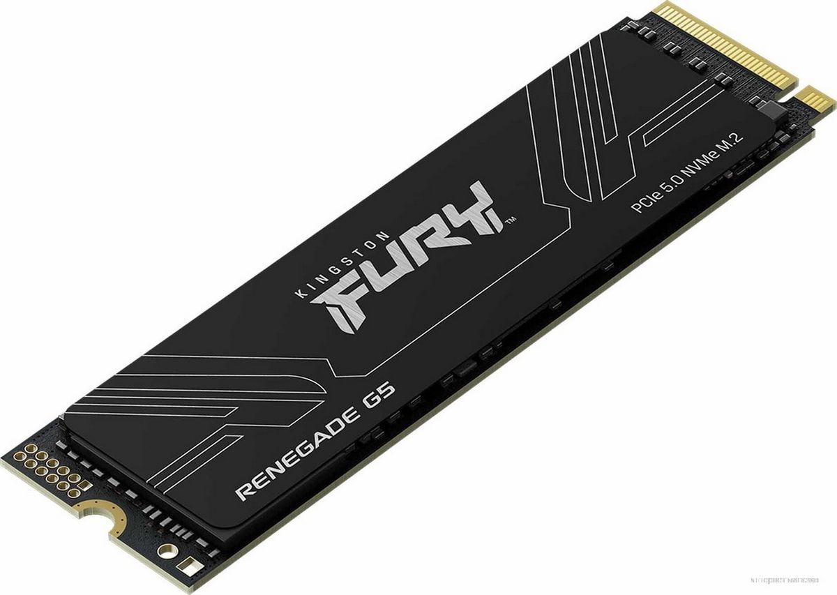 Kingston Fury Renegade G5 1TB SFYR2S/1T0