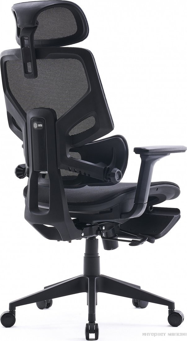 Офисное кресло CACTUS CS-CHR-MC01-BLBK (черный/синий)