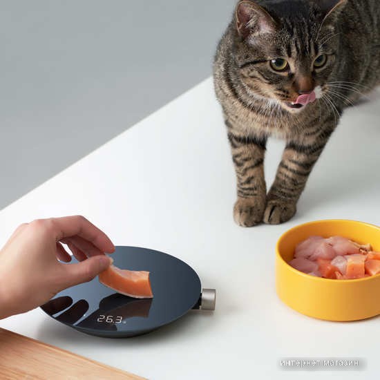 Кухонные весы Hoto Kitchen Scale