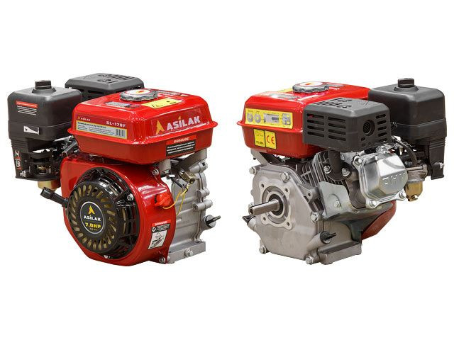 Двигатель для садовой техники Asilak SL-170F-D19
