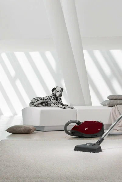 Пылесос Miele Complete C3 Cat & Dog Flex SGEF5 (оранжевый)