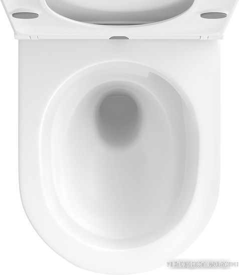 Унитаз подвесной Wellsee Chalice Perfection RimFree 182607001 (чаша, пневмокрышка, глянцевый белый)
