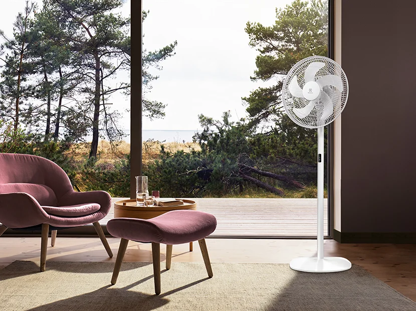 Вентилятор Electrolux EFF-1002i
