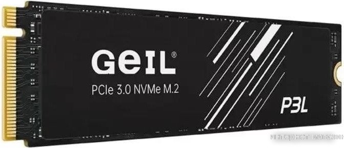 SSD GeIL P3L 256GB P3LFD16I256G