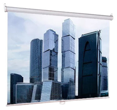 Проекционный экран Lumien Eco Picture (LEP-100105)