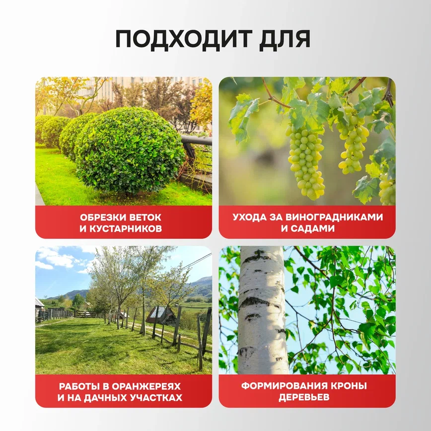 Profipower MKGSP-18V (с 2-мя АКБ, кейс)