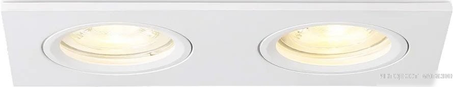 Ambrella light TN102460/2 WH (белый)