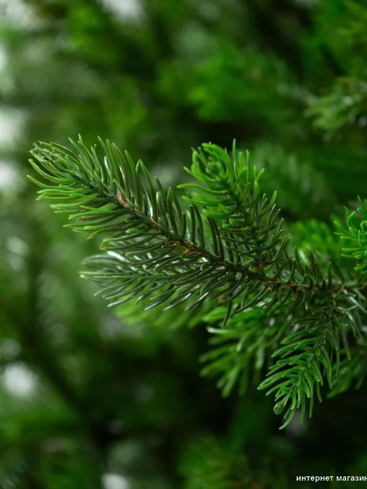 Елка National Tree Company Грация Премиум ГР/ПР-150 (150см, 3D)