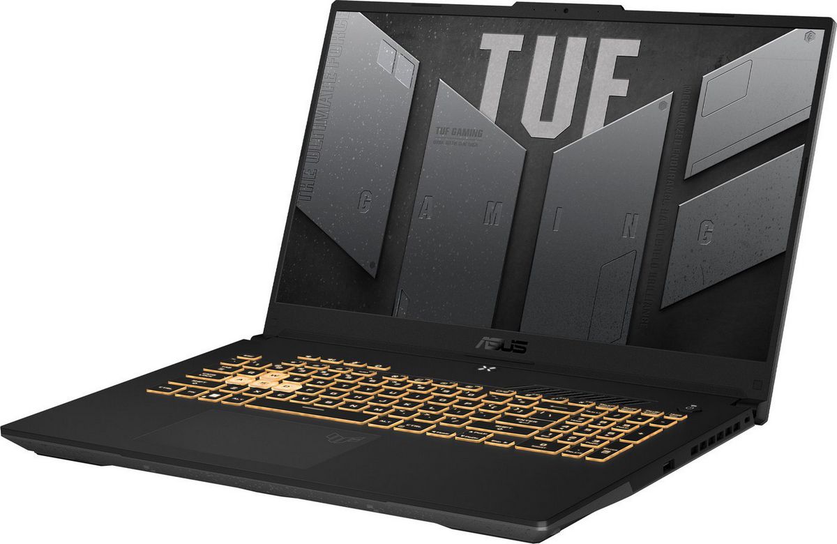 Игровой ноутбук ASUS TUF Gaming F17 FX707VUR-HX225