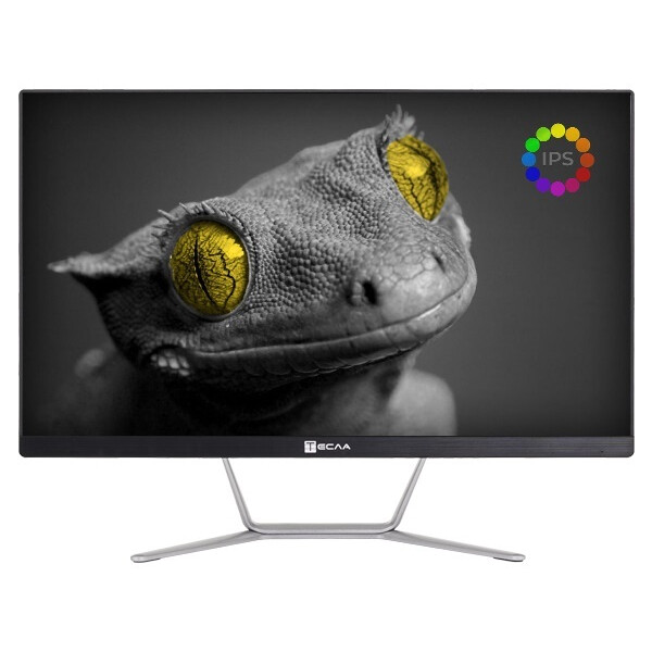 Моноблок ТЕСЛА Z24B 2108500