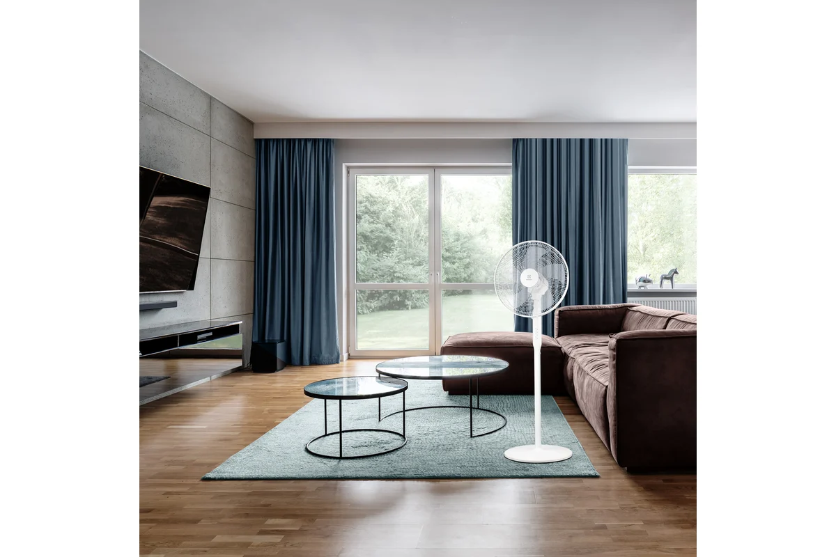 Вентилятор Electrolux EFF-1006