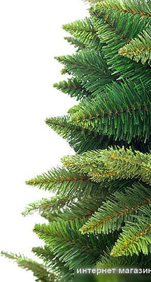 Сосна GreenTerra Рапсодия зеленая 2.2 м