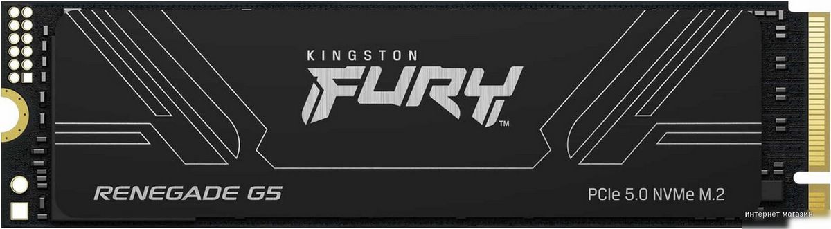 Kingston Fury Renegade G5 2TB SFYR2S/2T0