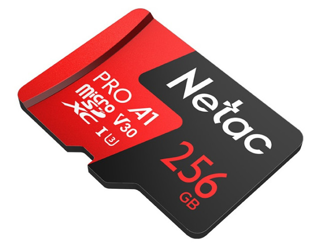 Карта памяти Netac P500 Extreme Pro 256GB NT02P500PRO-256G-S