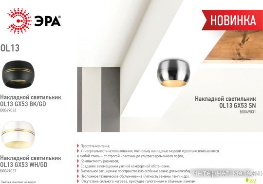 Точечный светильник ЭРА OL13 GX53 SN Б0049031