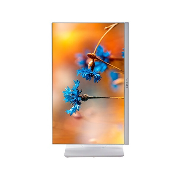 Моноблок ТЕСЛА P24WP 2416500