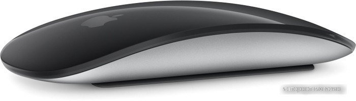 Мышь Apple Magic Mouse (черный)